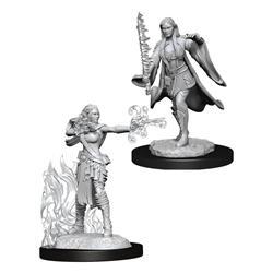 WizKids 90149 - D&D Nolzur's Marvelous Miniatures - Female Multiclass Warlock & Sorcerer