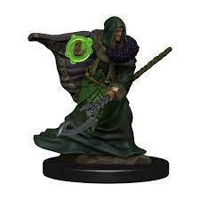 WizKids 93040 - D&D Icons of the Realms Male Elf Druid