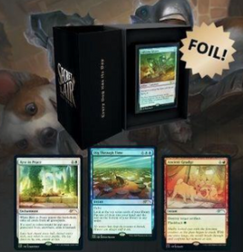 MTG - Secret Lair Every Dog Has Its Day - Traditional Foil Edition