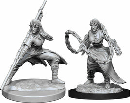 WizKids 90225 - D&D Nolzur's Marvelous Miniatures - Female Human Monk