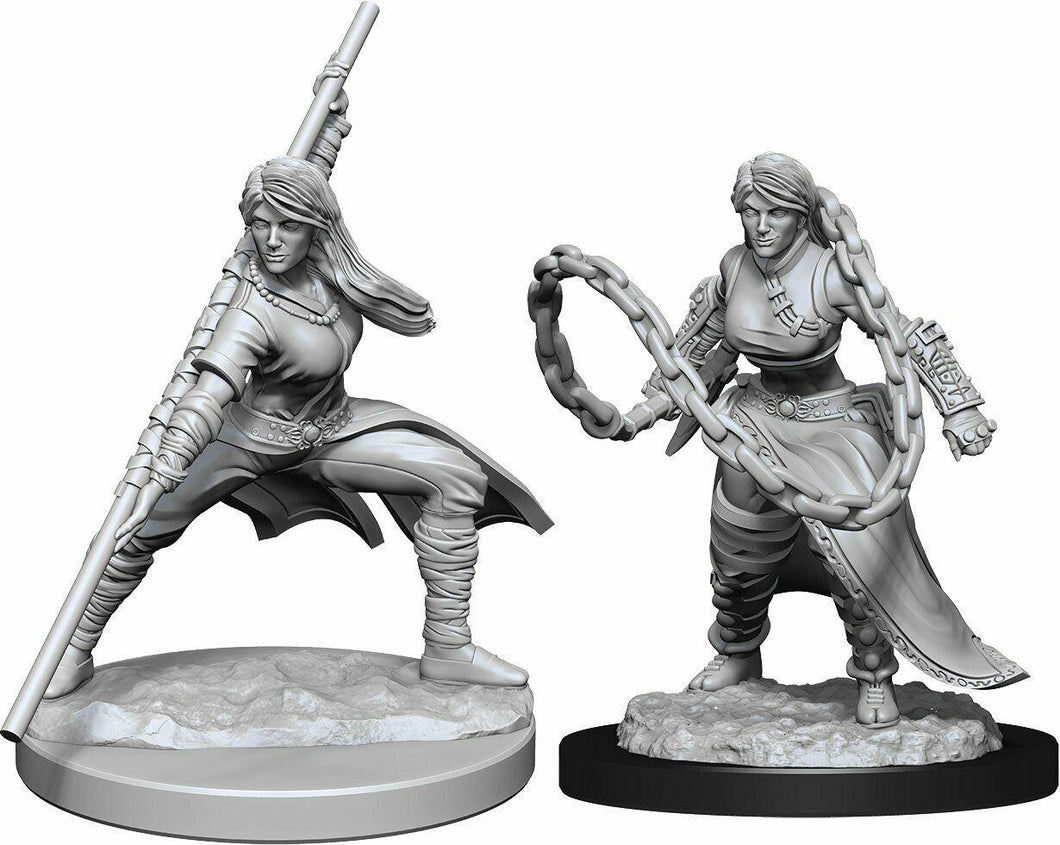 WizKids - D&D Nolzur's Marvelous Miniatures 90225 - Female Human Monk