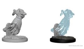 WizKids 72564 - D&D Nolzur's Marvelous Miniatures - Ghost & Banshee