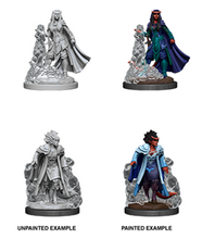 Load image into Gallery viewer, D&amp;D - Nolzur&#39;s Marvelous Miniatures - Female Tiefling Sorcerer Unpainted Minis 2pc