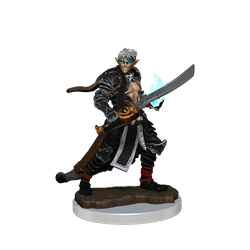 WizKids 77517 - Pathfinder Battles HD Premium - Male Elf Magus