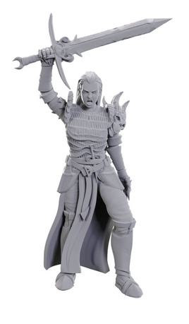 WizKids 90772 - D&D Nolzur's Marvelous Miniatures Blackguard