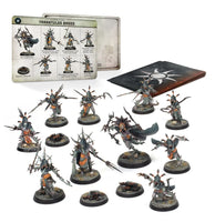 Warhammer Age of Sigmar - Warcry - Tarantulos Brood