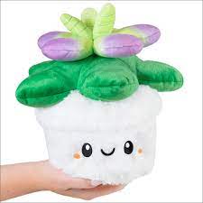 Squishable - Mini - Succulent