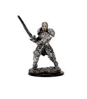 WizKids - D&D Icons of the Realms 93059 - Male Human Fighter