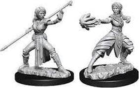 WizKids 73839 - D&D Nolzur's Marvelous Miniatures - Female Half Elf Monk