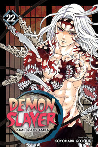 Demon Slayer Kimetsu No Yaiba - GN Vol 22