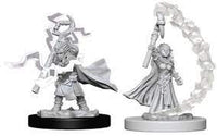 WizKids 73345 - Pathfinder Battles Deep Cuts - Gnome Female Sorcerer