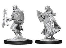 Load image into Gallery viewer, WizKids - D&amp;D Nolzur&#39;s Marvelous Miniatures 90233 - Kalashtar Cleric Female