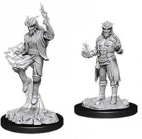 WizKids 73201 - D&D Nolzur's Marvelous Miniatures - Male Tiefling Sorcerer