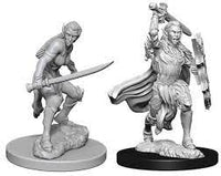 WizKids 73410 - Pathfinder Battles Deep Cuts - Female Half Elf Fighter