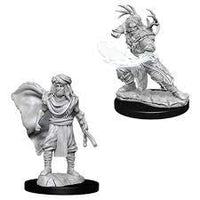 WizKids 73390 - D&D Nolzur's Marvelous Miniatures - Male Human Druid