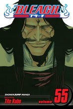 Load image into Gallery viewer, Bleach Graphic Novel Vol 55