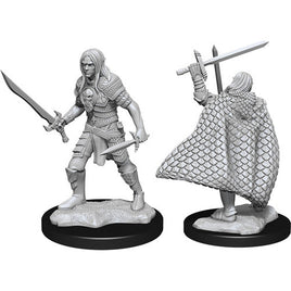 WizKids 90169 - Pathfinder Battles Deep Cuts Male Elf Fighter