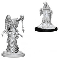 WizKids 73402 - D&D Nolzur's Marvelous Miniatures - Green Hag & Night Hag