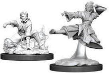 Load image into Gallery viewer, WizKids - D&amp;D Nolzur&#39;s Marvelous Miniatures 90225 - Female Human Monk