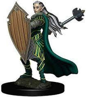 WizKids 93025 - D&D Icons of the Realms Female Elf Paladin