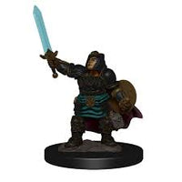 WizKids - D&D Icons of the Realms 93027 - Female Dwarf Paladin