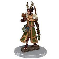 WizKids 93031 - D&D Icons of the Realms Male Human Druid