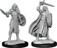 Load image into Gallery viewer, Pathfinder - Deep Cuts - Female Human Champion Unpainted Minis 2pc