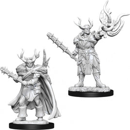 WizKids 73853 - Pathfinder Battles Deep Cuts Male Half-Orc Druid