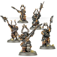 Warhammer AoS - Slaves to Darkness - Chaos Chosen