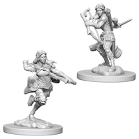 WizKids 73204 - D&D Nolzur's Marvelous Miniatures - Female Air Genasi Rogue