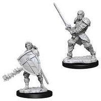 WizKids 73673 - D&D Nolzur's Marvelous Miniatures - Male Human Fighter