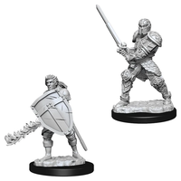 WizKids 90144 - D&D Nolzur's Marvelous Miniatures - Male Human Fighter