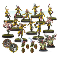 Blood Bowl - Team - Wood Elf - Athelorn Avengers