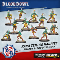 Blood Bowl - Team - Amazon - Kara Temple Harpies