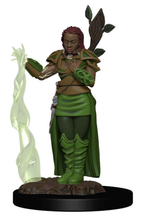 Load image into Gallery viewer, D&amp;D - Icons of the Realms 93009 - Female Human Druid