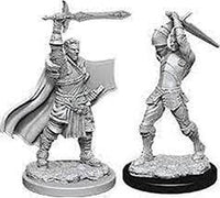 WizKids 90136 - D&D Nolzur's Marvelous Miniatures - Male Human Paladin